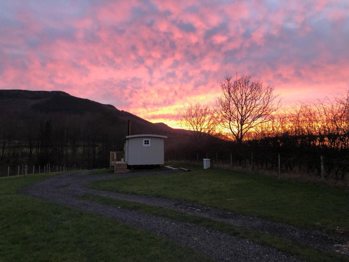 Ingleby Greenhow Rosemary Shepherds Hut, Clay Bank Huts מראה חיצוני תמונה