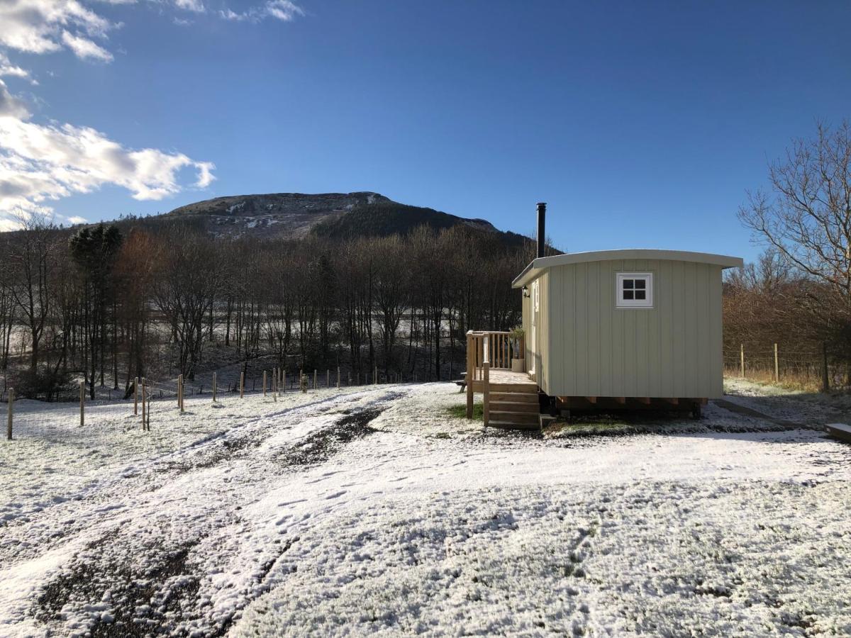 Ingleby Greenhow Rosemary Shepherds Hut, Clay Bank Huts מראה חיצוני תמונה