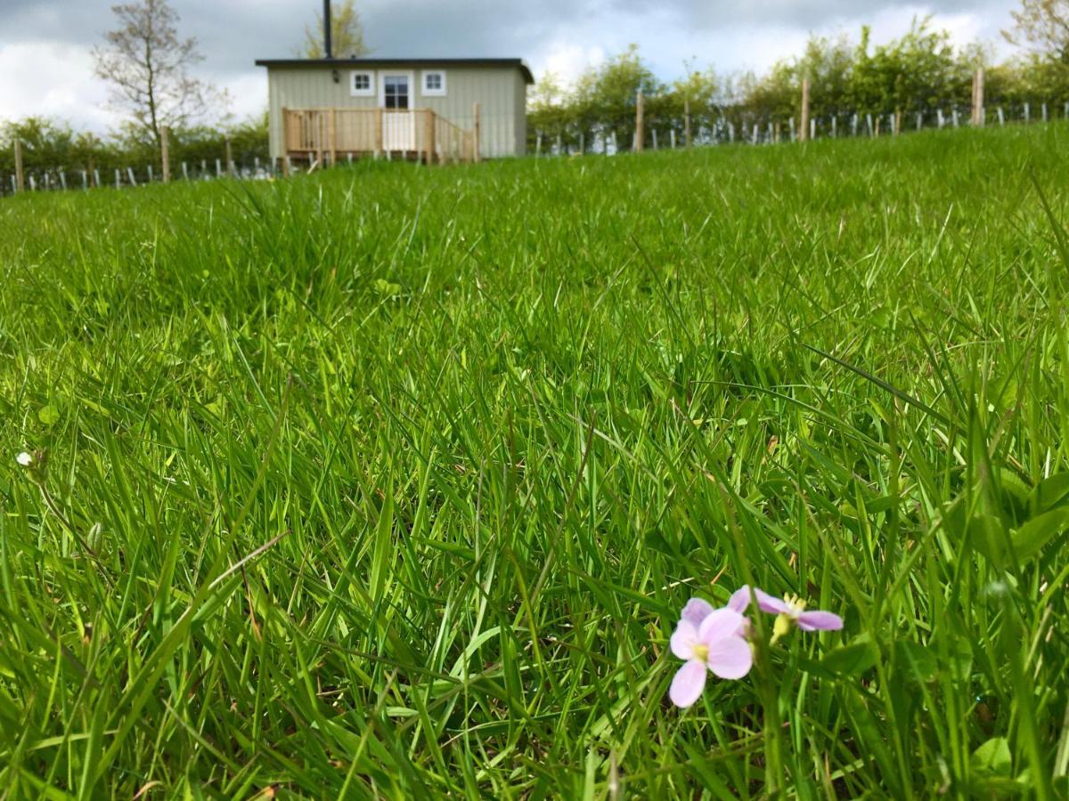 Ingleby Greenhow Rosemary Shepherds Hut, Clay Bank Huts מראה חיצוני תמונה